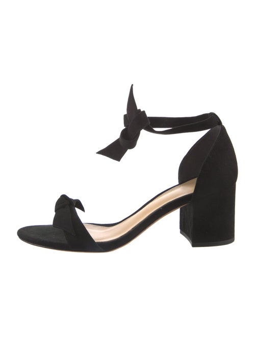 Alexandre Birman Suede Sandals