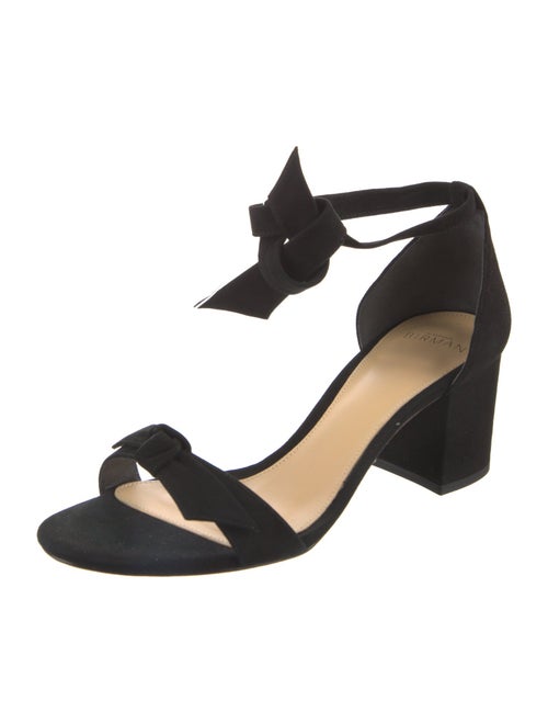 Alexandre Birman Suede Sandals