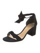 Alexandre Birman Suede Sandals