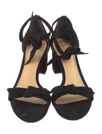 Alexandre Birman Suede Sandals