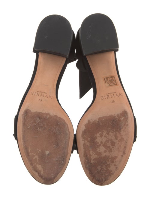 Alexandre Birman Suede Sandals