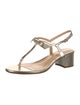 Alexandre Birman Leather T-Strap Sandals