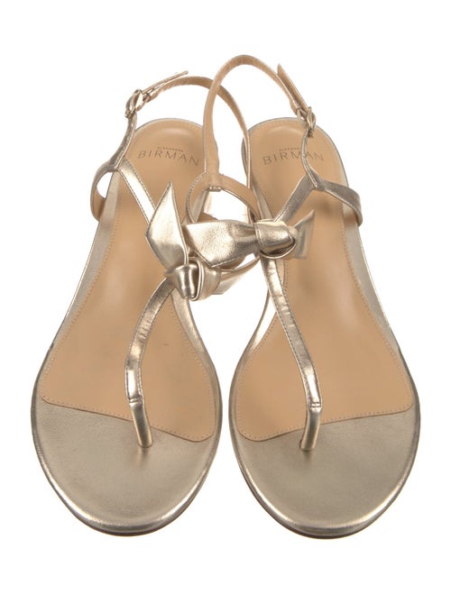 Alexandre Birman Leather T-Strap Sandals