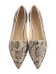 Alexandre Birman Snakeskin Animal Print Loafers