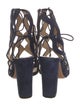 Alexandre Birman Suede Lasercut Accents Sandals