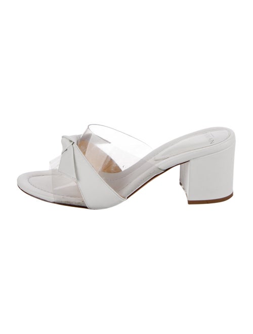 Alexandre Birman PVC Slides