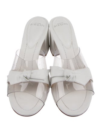 Alexandre Birman PVC Slides