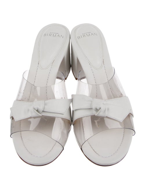 Alexandre Birman PVC Slides