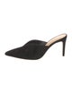 Alexandre Birman Suede Mules