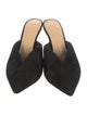 Alexandre Birman Suede Mules