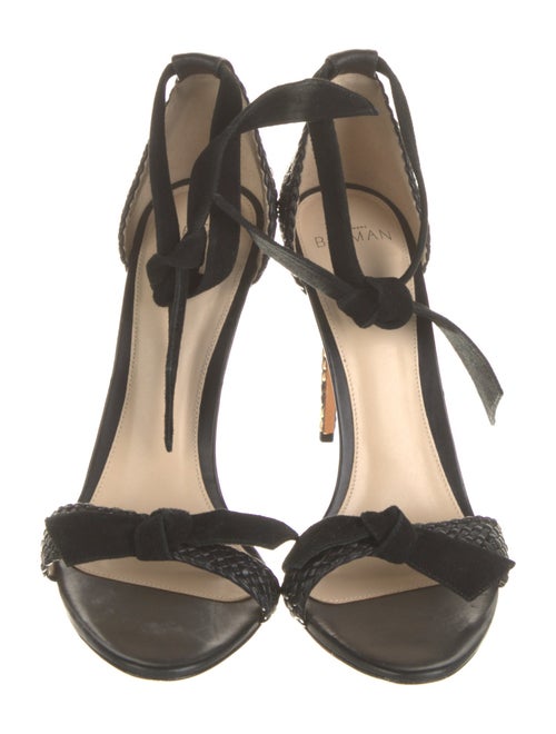 Alexandre Birman Suede Sandals