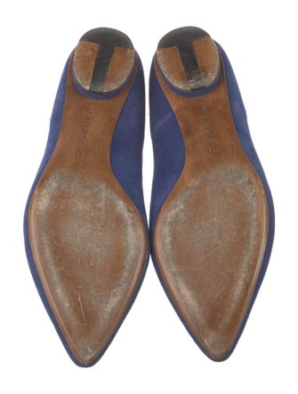 Alexandre Birman Suede Ballet Flats