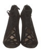 Alexandre Birman Suede Pumps