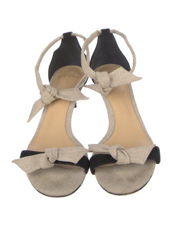 Alexandre Birman Suede Colorblock Pattern Pumps