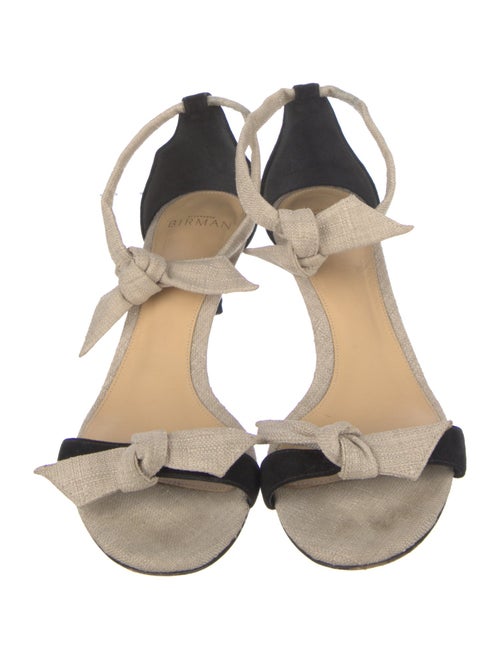 Alexandre Birman Suede Colorblock Pattern Pumps