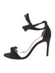 Alexandre Birman Velvet Bow Accents Sandals