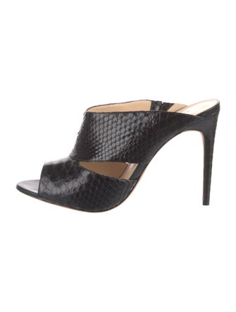 Alexandre Birman Python Slides