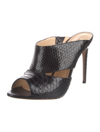 Alexandre Birman Python Slides