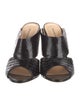 Alexandre Birman Python Slides
