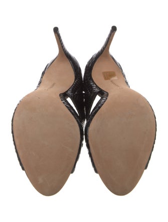 Alexandre Birman Python Slides