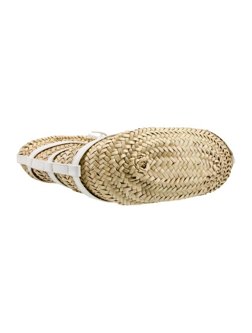 Altuzarra Raffia Top Handle Bag