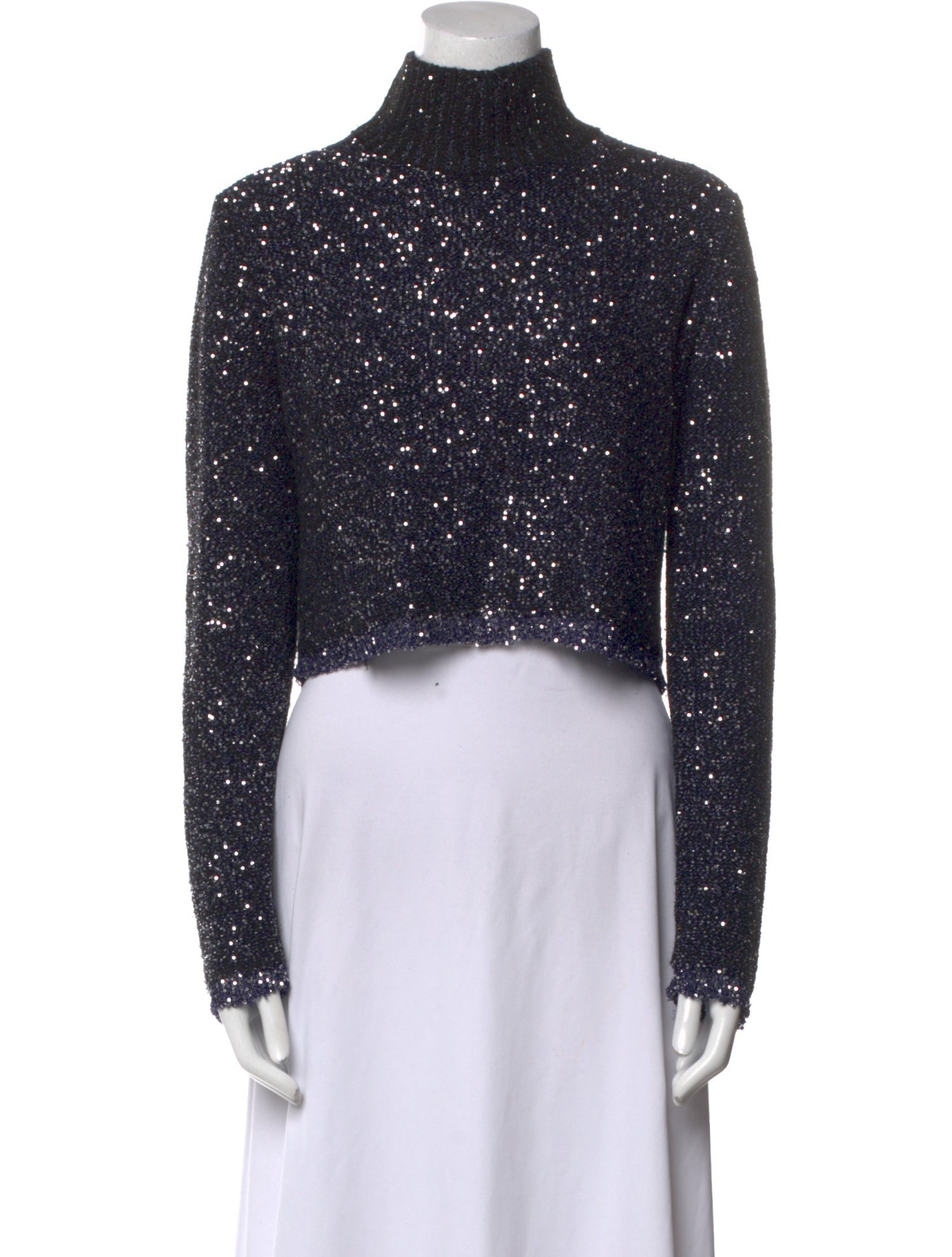 Altuzarra Turtleneck Sweater