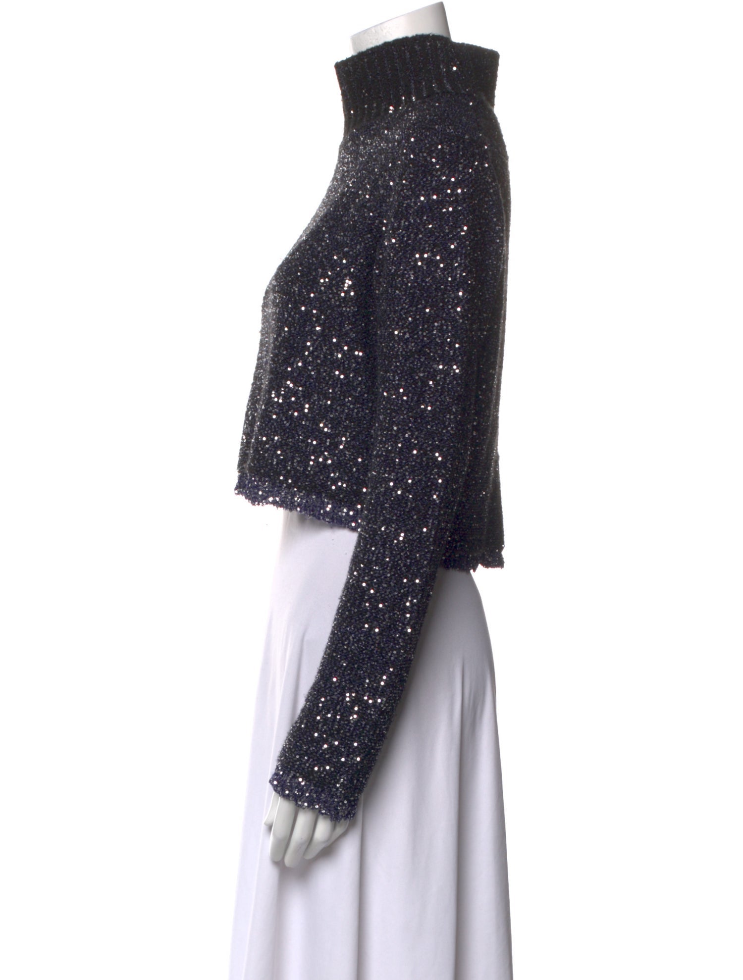 Altuzarra Turtleneck Sweater