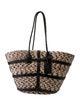 Altuzarra Raffia Bucket Bag
