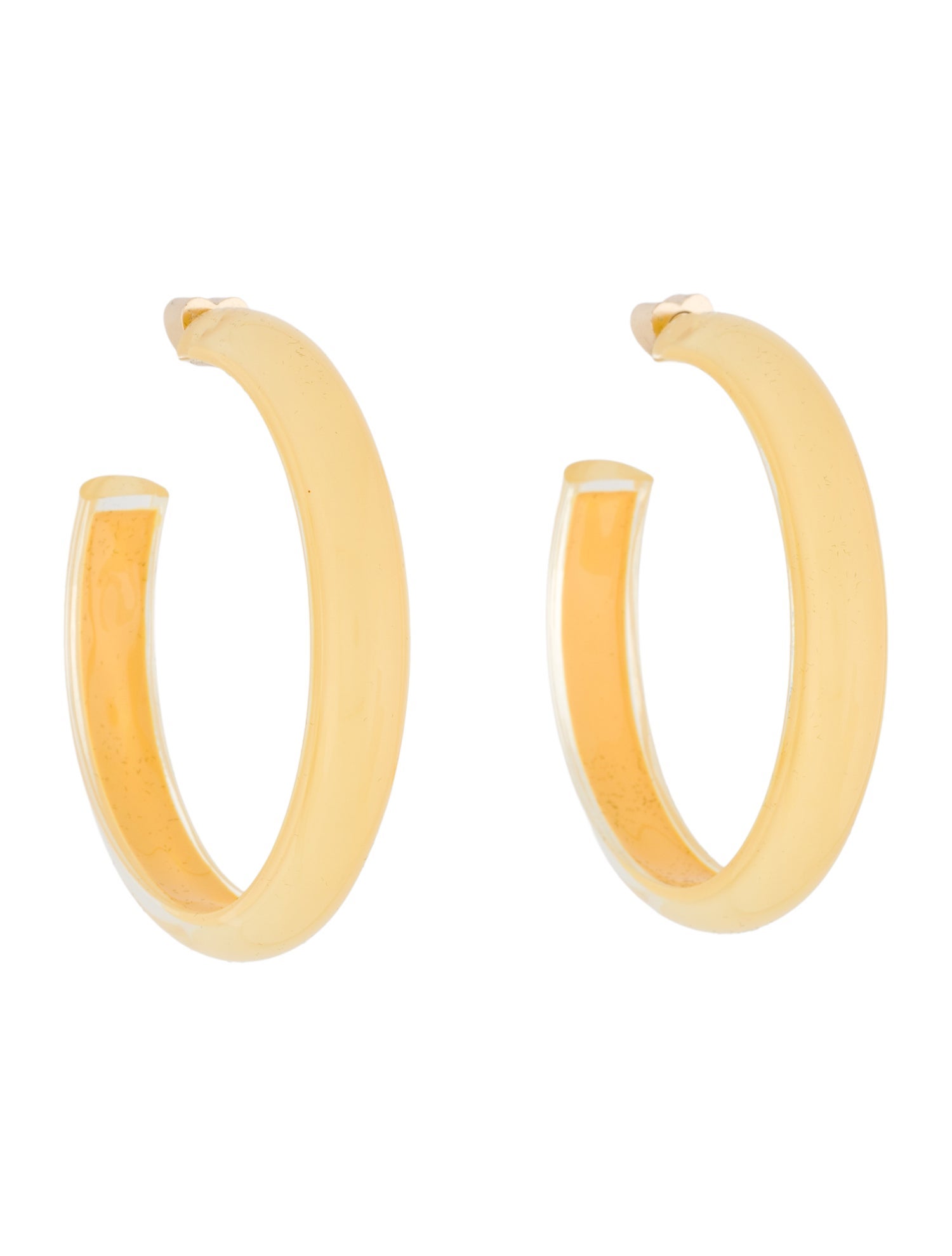 Alison Lou Lucite Jelly Hoop earrings