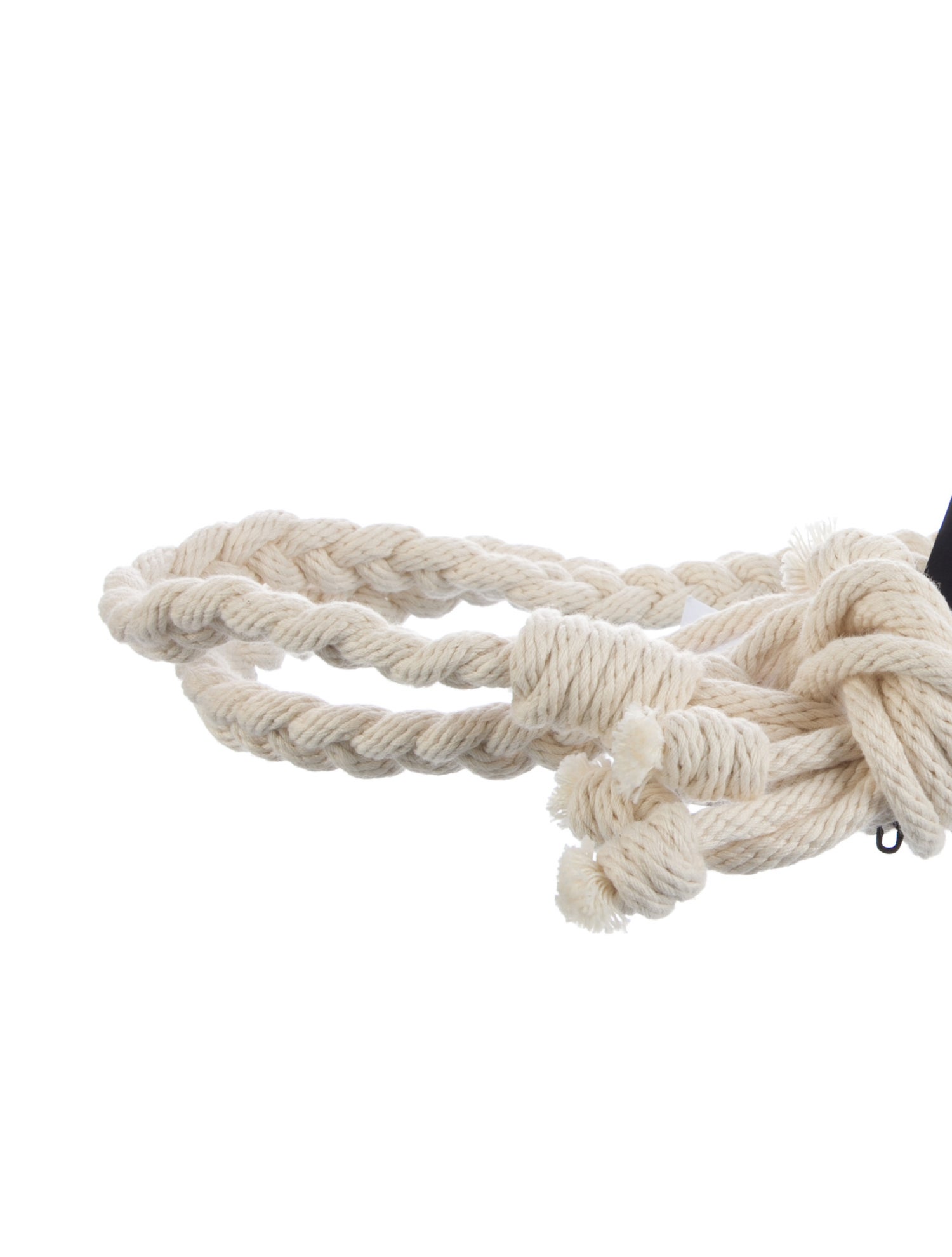 Alanui Skinny Waist Belt