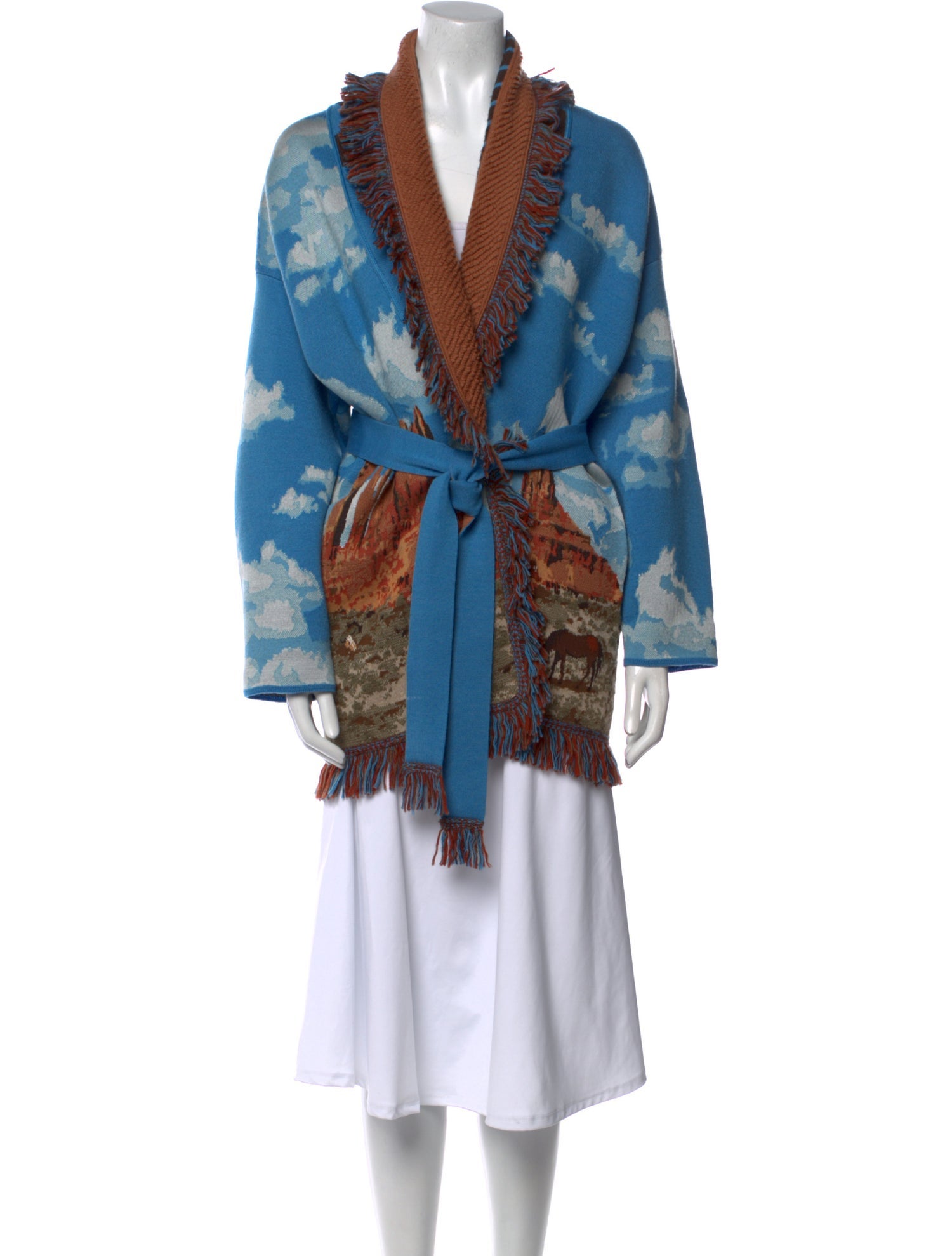 Alanui Wool Printed Sweater