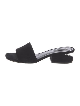 Alexander Wang Suede Slides