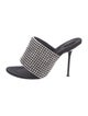 Alexander Wang Crystal Crystal Embellishments Slides