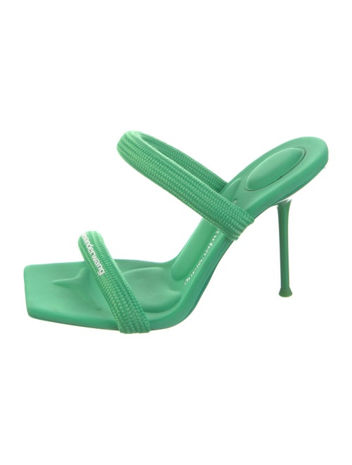 Alexander Wang Slides