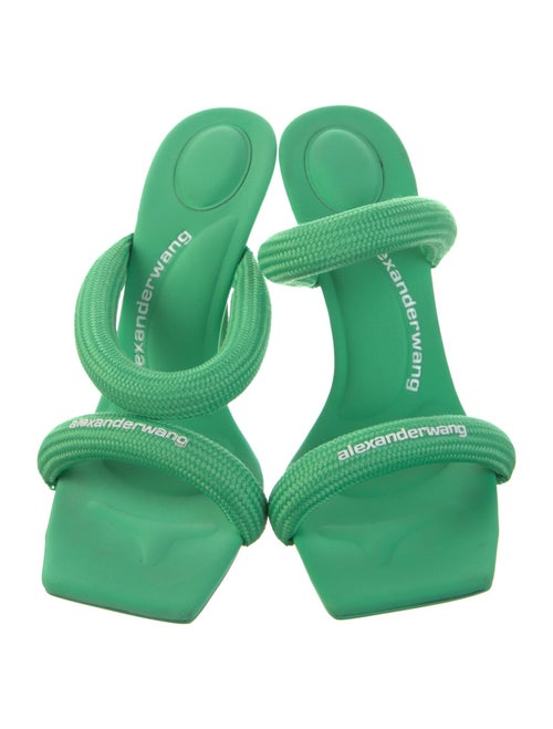 Alexander Wang Slides