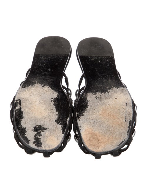 Alexander Wang Suede Slides