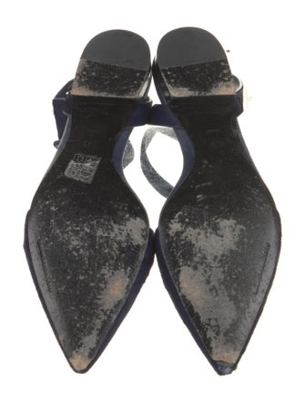 Alexander Wang Ponyhair D'Orsay Flats