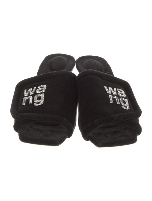 Alexander Wang Velvet Crystal Embellishments Slides