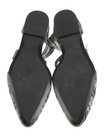 Alexander Wang Leather Animal Print Flats