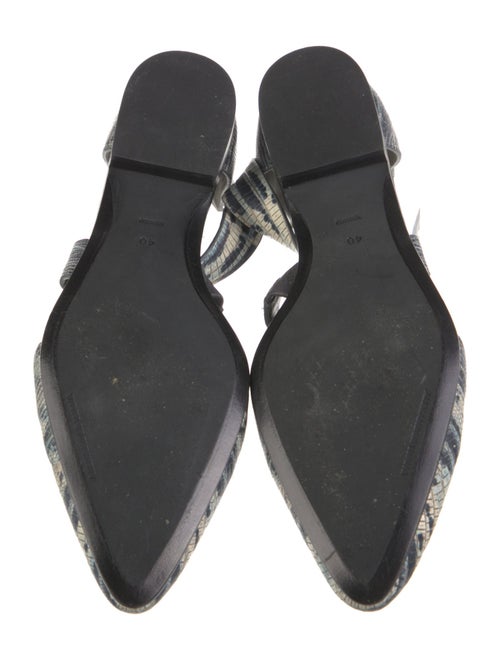 Alexander Wang Leather Animal Print Flats