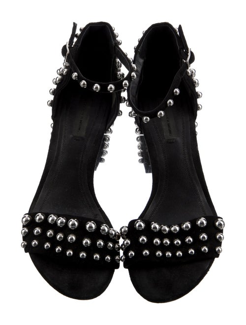 Alexander Wang Suede Studded Accents Pumps