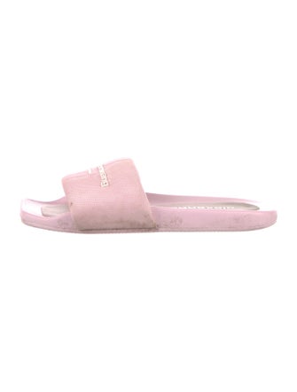 Alexander Wang Printed Embroidered Accent Slides