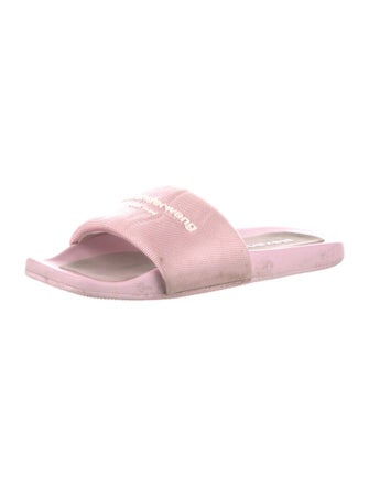Alexander Wang Printed Embroidered Accent Slides