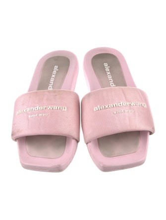 Alexander Wang Printed Embroidered Accent Slides
