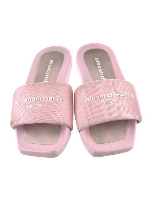 Alexander Wang Printed Embroidered Accent Slides