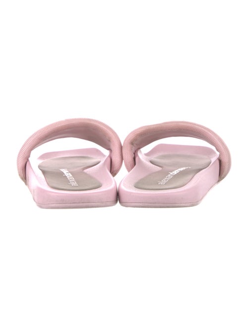 Alexander Wang Printed Embroidered Accent Slides