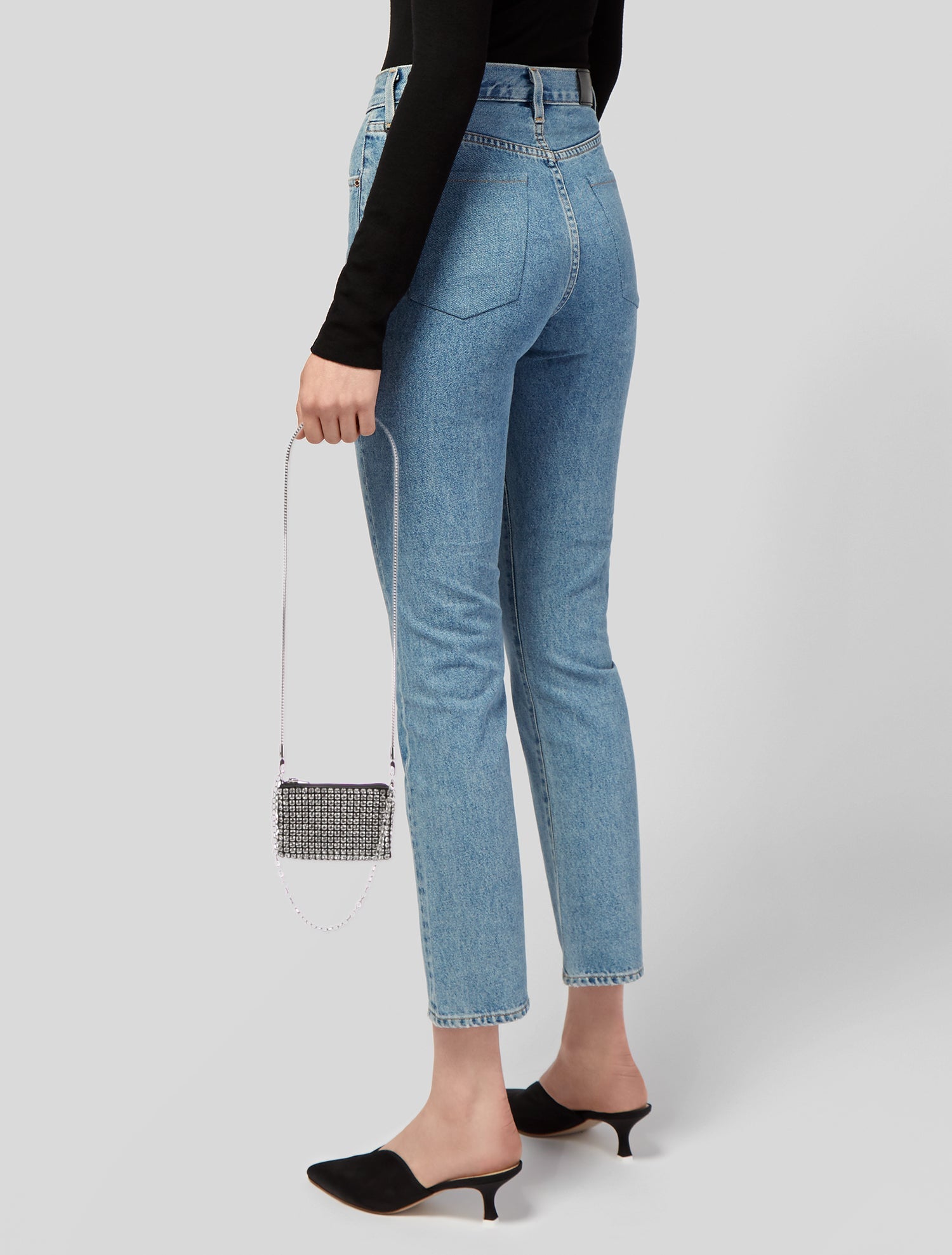 Alexander Wang Crystal Minaudière