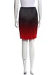 Alexander Wang Colorblock Pattern Knee-Length Skirt