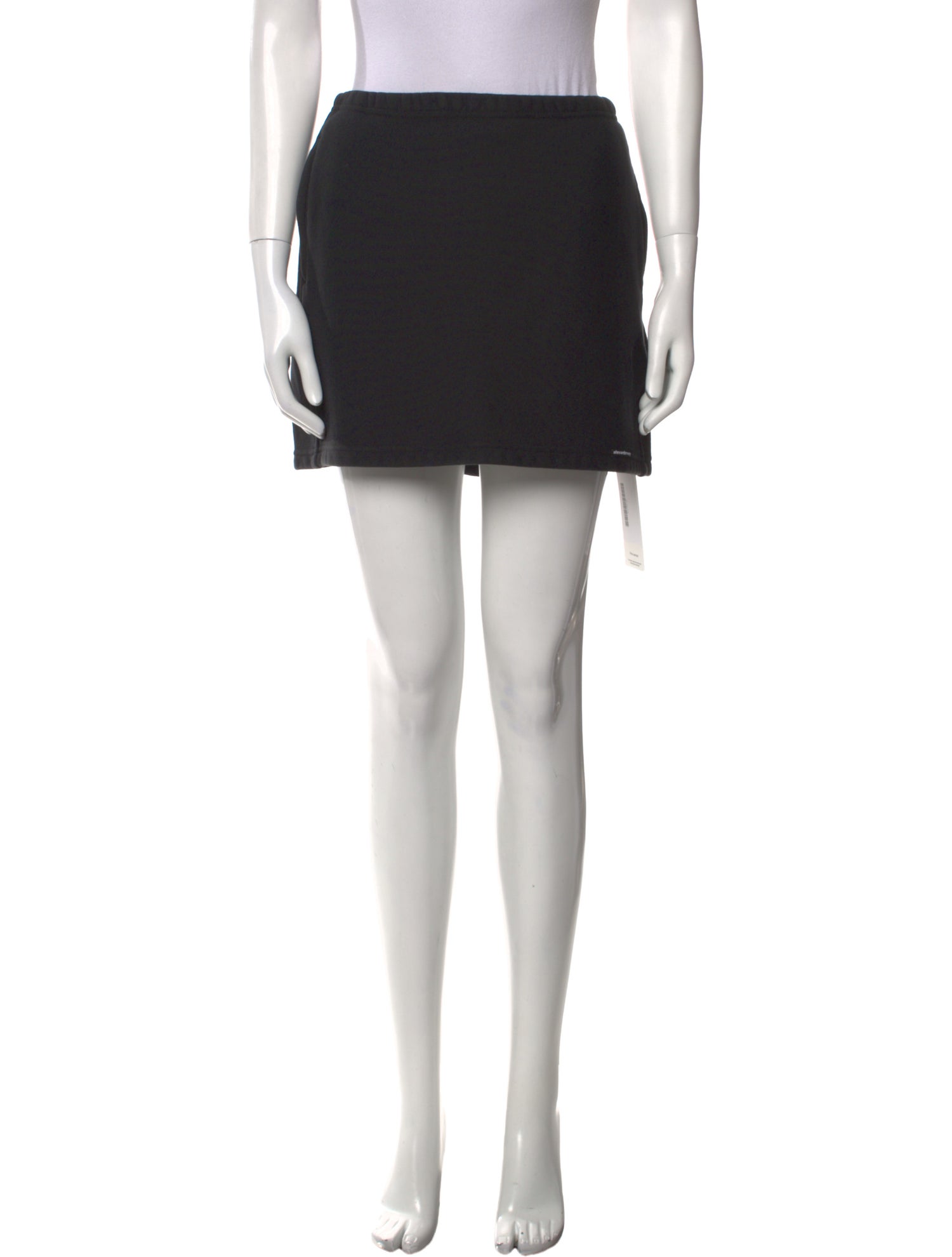 Alexander Wang Mini Skirt
