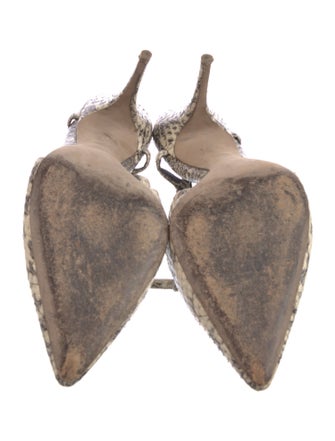 Alexander Wang Snakeskin Animal Print Slingback Pumps